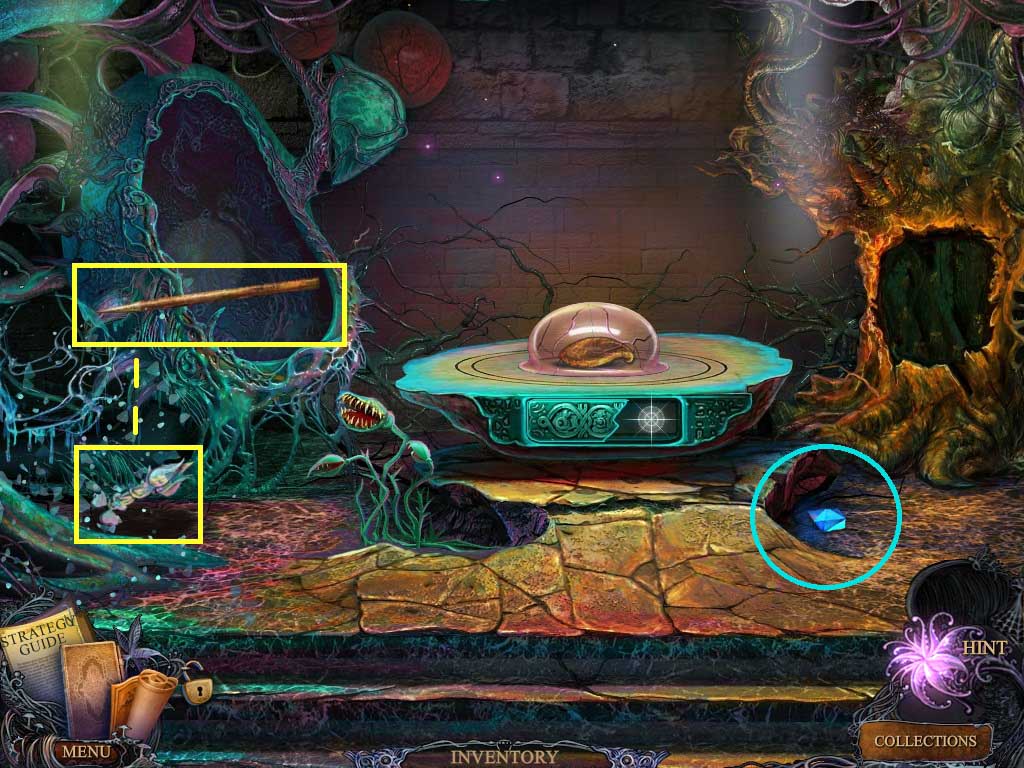 Chapter-6-08-Carnivorous